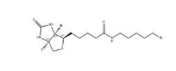 1217605-72-5 生物素5-溴戊酰胺 BIOTIN 5-BROMOPENTYLAMIDE