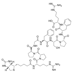477319-71-4 Biotin-Bradykinin