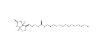 1374658-86-2 Biotin-PEG3-CH2-NH2 生物素-三聚乙二醇-亞甲基-氨基