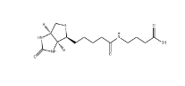35924-87-9         4-（（Biotinoyl）amino）Butyric acid	         生物素?；?4-氨基丁酸	