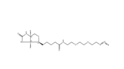 945633-30-7 Biotin-PEG3-azide,生物素-PEG3-疊氮化物