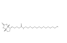  663171-32-2，Biotin-PEG6-NH2，小分子PEG