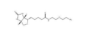 cas:811442-85-0 Biotin-PEG1-amine/生物素一聚乙二醇氨基