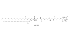 385437-57-0；磷脂PEG生物素；DSPE-PEG-Biotin	