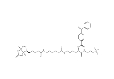 910036-44-1        甲基硫代磺酸2-[Nα-苯甲?；郊柞０被?N6-（6-生物素氨基己?；?L-賴氨酰胺基]乙基