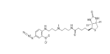 96087-37-5 Photobiotin 光生物素