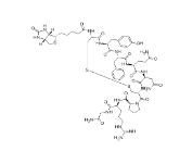  CAS號(hào): 126703-17-1       生物素標(biāo)記抗利尿激素