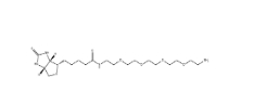 CAS號(hào)： 663171-32-2  ； Biotin-PEG4-Amine