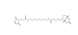 CAS： 305372-39-8；生物素 PEG2 馬來(lái)酰亞胺 