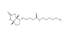 CAS號:115416-38-1；生物素-C5-胺；5-(Biotinamido)pentylamine