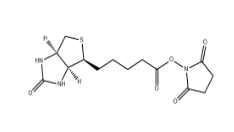 CAS號(hào):35013-72-0；(+)生物素-N-琥珀酰亞胺基酯；Biotin NHS