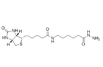 109276-34-8，生物素LC酰肼，BIOTINAMIDOCAPROYL HYDRAZIDE	