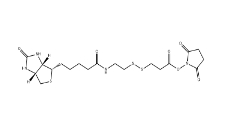 NHS-SS-biotin	、122266-55-1、2-[生物素氨基]乙基-1,3-二硫基丙酸磺基琥珀酰亞胺酯