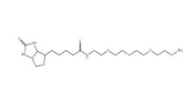 Biotin-PEG3-oxyamine、1786206-22-1、生物素-PEG3-氧胺鹽酸鹽
