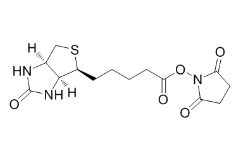 Biotin NHS；35013-72-0；生物素N-羥基琥珀酰亞胺酯 