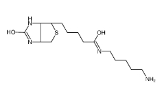 Biotin-Amine，115416-38-1，生物素氨基