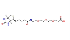 Biotin-PEG3-COOH/CAS; 252881-76-8；生物素三聚乙二醇羧基