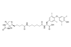 Biotin-hexanamide-(L-Thyroxine)；2278192-78-0；生物素己酰胺-（L-甲狀腺素）