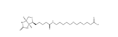 Biotin-PEG3-COOH，252881-76-8，(+)-生物素-PEG 3 -丙酸