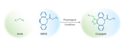 DBCO-CY5 ；二苯基環(huán)辛炔-菁染料CY5