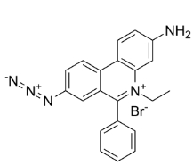 EMA[單疊氮化溴乙非啶]，CAS號(hào)：58880-05-0，EMA [Ethidium monoazide bromide]