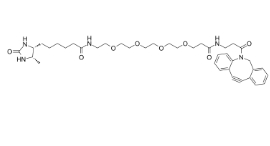 DBCO-PEG4-Desthiobiotin，Desthiobiotin-PEG4-DBCO，CAS號：2032788-37-5，二苯基環(huán)辛炔-四聚乙二醇-脫硫生物素