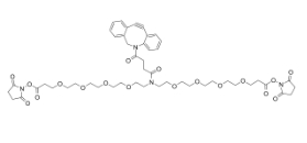 DBCO-N-bis(PEG4-NHS ester)，CAS:2639395-38-1，二苯基環(huán)辛炔-N-bis(四聚乙二醇-琥珀酰亞胺酯)