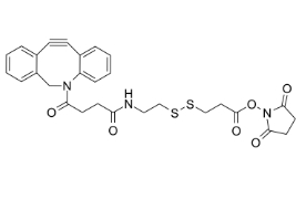 DBCO-CONH-S-S-NHS ester，CAS:1435934-53-4