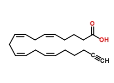 Arachidonic acid-alkyne，CAS號：1219038-32-0