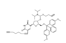 clk-a03-1g c8-alkyne-du-cep, 1 g pack，CAS號(hào)：938186-76-6