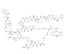DBCO-(PEG2-VC-PAB-MMAE)2，CAS:2259318-55-1，二苯并環(huán)辛炔-(二聚乙二醇-VC-PAB-MMAE)2