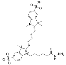 2055138-61-7；diSulfo-Cy5 hydrazide；二磺酸-CY5-酰肼	