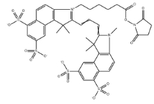 2231670-91-8；Sulfo-CY3.5 NHS ester	；磺酸基CY3.5活性酯	