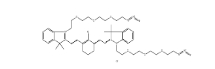 2107273-84-5；N,N＇-bis-(azide-PEG3)-chlorocyclohexenyl Cy7；N,N＇-雙-(疊氮-三聚乙二醇)-氯環(huán)己烯 CY7染料	
