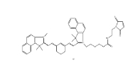 2270866-73-2，Cyanine7.5 maleimide，Cy7.5-Mal，菁染料cy7.5馬來酰亞胺	