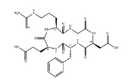 cyclo(RGD-DPhe-E) ，756500-22-8，RGD環(huán)肽        瑞禧生物