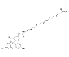 2183440-40-4，5-FITC-PEG5-COOH，F(xiàn)luorescein-PEG5-acid，熒光素-五聚乙二醇-丙酸	