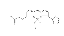 BDP 558/568 carboxylic acid|Bodipy染料；150173-72-1；BDP 558/568-羧酸	
