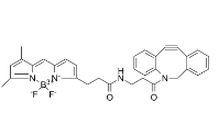 BDP FL DBCO，DBCO-BODIPY FL，2093197-94-3