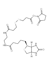 NHS-SS-Biotin，CAS號：142439-92-7           瑞禧生物