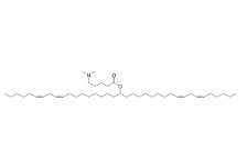 DLin-M-C4-DMA，CAS號(hào)：1226909-66-5           瑞禧生物