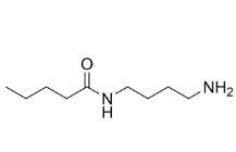 C4-Amide-C4-NH2，CAS號(hào)：1018541-17-7