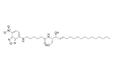 CAS號(hào)：94885-02-6， C6 NBD Ceramide