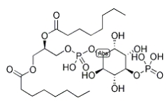 CAS號(hào)：214069-07-5，PI(4)P, DI C8，4-單磷酸磷脂酰肌醇
