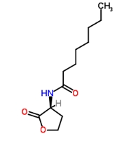 C8-HSL，CAS號：147852-84-4             瑞禧生物