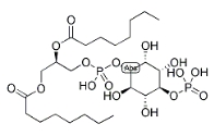 PI(4)P, DI C8，CAS號(hào)：214069-07-5，4-單磷酸磷脂酰肌醇