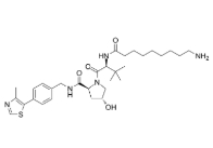(S,R,S)-AHPC-C8-NH2，CAS號(hào)：2341796-79-8            瑞禧生物