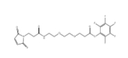 cas:1347750-81-5，Mal-NH-PEG2-CH2CH2COOPFP ester，馬來酰亞胺二聚乙二醇CH2CH2COOPFP ESTER，抗體藥物偶聯(lián)物（ADC）