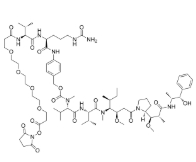 cas:2762518-86-3，NHS Ester-PEG4-Val-Cit-PAB-MMAE，抗體藥物偶聯(lián)物（ADC）