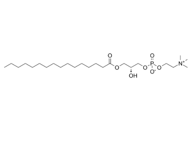 17364-16-8，P-LysoPC，棕櫚酰溶血卵磷脂